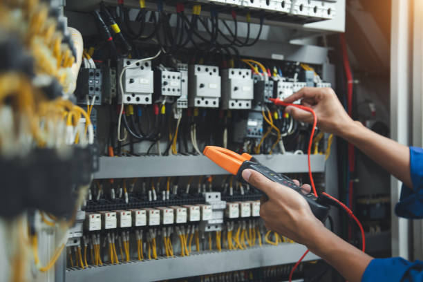Best Electric Panel Repair  in Edneyville, NC